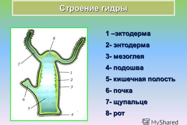 Кракен зеркало ссылка онлайн