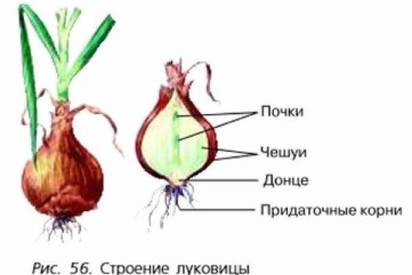 Сайты с наркотиками